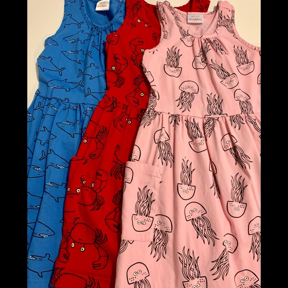 Hanna Andersson Dress Bundle